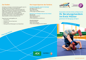 Flyer Tandem